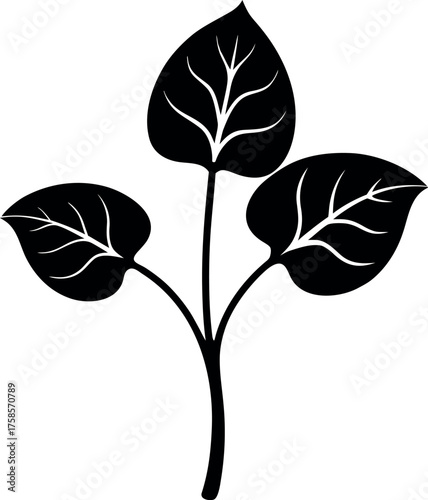 Taro Plant Silhouette with Veined Leaves and Single Stem Illustration