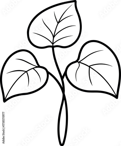 Black and White Taro Plant Line Drawing with Veined Leaves