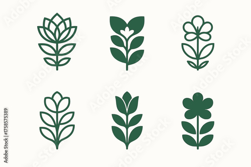 Floral Logo Variations. Nature vibe package design with flowers and plants. Set Logo of Packaging: decorative floral motif icon. harmonious logo variations of