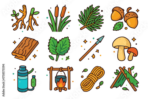 Survival Foraging Icons. Survival foraging. Colorful isometric vector icons set of survival foraging: wild roots, cattail shoots, pine needles, acorns, edible