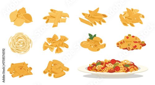 A variety of delicious pasta shapes and a prepared dish of pasta.