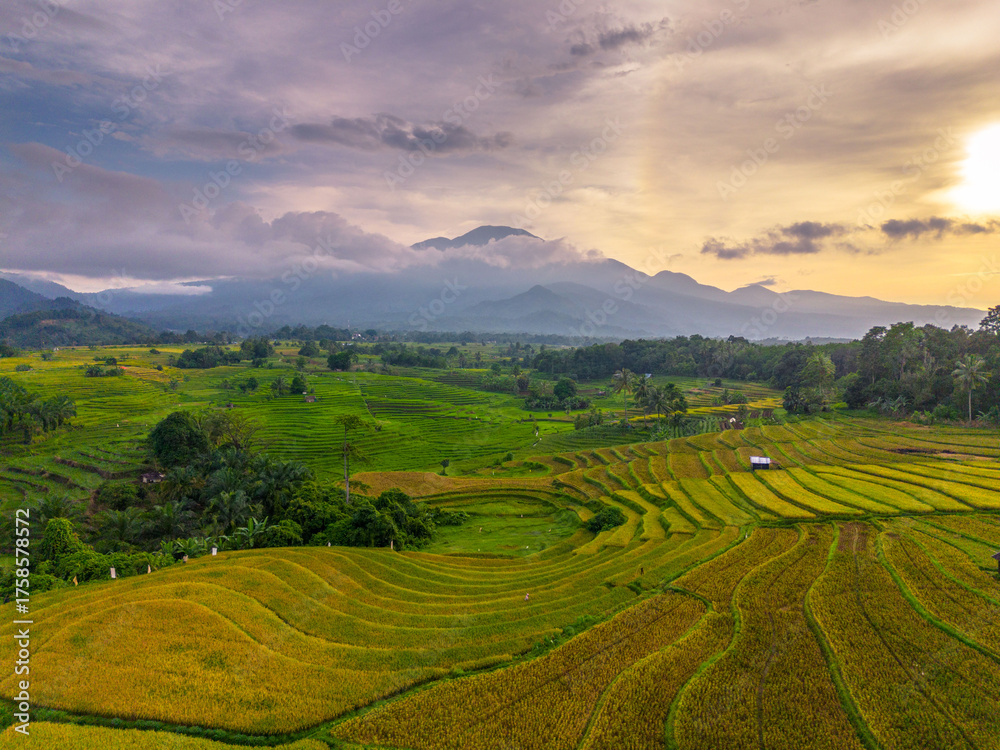 Fototapeta premium Beautiful morning view indonesia Panorama Landscape paddy fields with beauty color and sky natural light