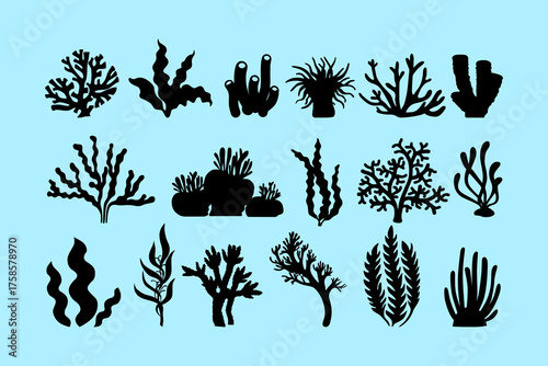 collection of coral and seaweed silhouette