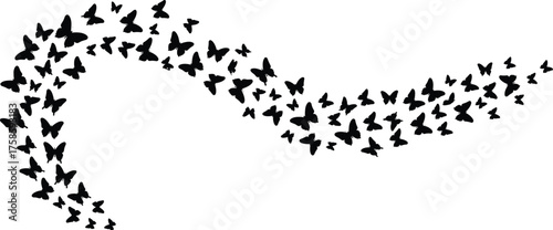 Black butterfly silhouettes flying in wave pattern, abstract nature design, freedom and transformation concept, minimalist vector art for creative projects