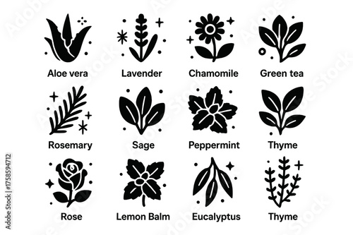 Herbal Extract Icons. Herbal Extracts. Solid icons set of Herbal Extracts: Aloe Vera, Lavender, Chamomile, Calendula, Rosemary, Sage, Peppermint, Green Tea,