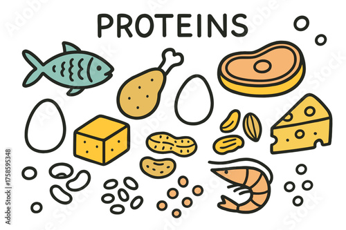 Protein-Rich Foods Collection. Proteins. Hand-drawn doodle illustration fish (colored), chicken leg, steak (colored), egg, tofu (colored), beans,