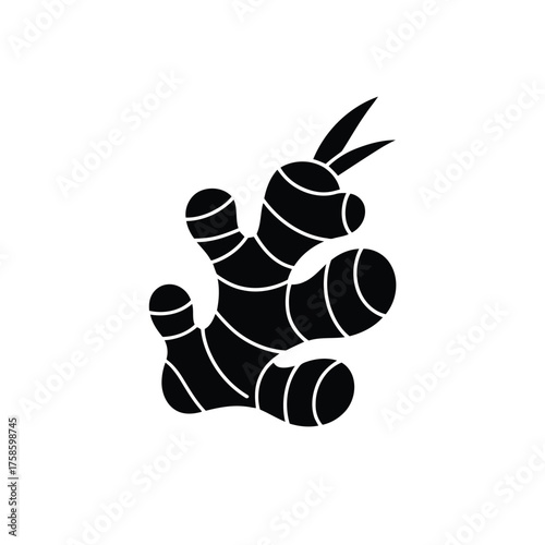 Black and white stylized graphic of a ginger root with segmented body and pointed leaves spice rhizome