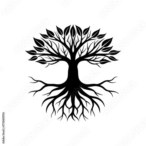 Silhouette of a leafy tree image on transparent background