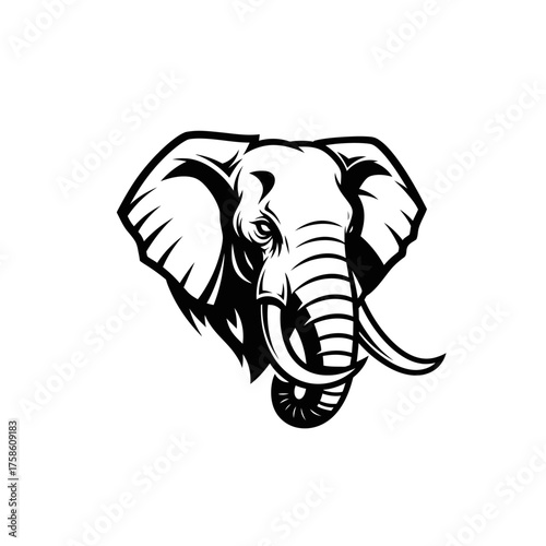 A striking black and white illustration of an elephant's head, showcasing its tusks and textured skin.