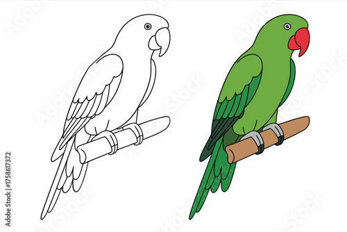 Green parrot with red beak perched on a branch outline and colored version bird