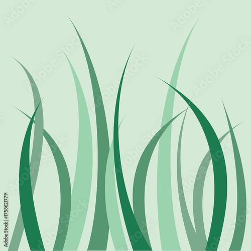 Green Grass Blade Vector Illustration. Fresh Nature Plant Silhouette, Abstract Garden Lawn Design. Organic Leaf Pattern. Nature vector illustration