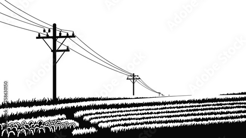 Rural farmland landscape with utility poles, power lines, agricultural field rows, countryside horizon, electricity infrastructure, scenic agriculture view, graphic illustration