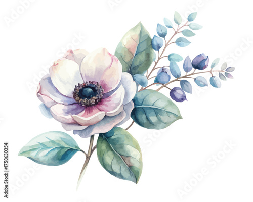 Watercolor Anemone and Eucalyptus Branch Design isolated on white background