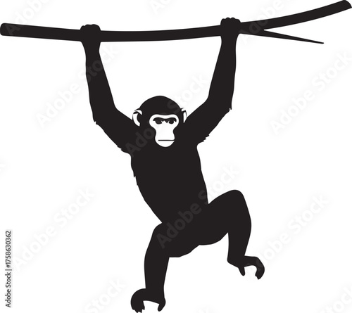 Silhouette of a chimpanzee swinging playfully from a tree branch in a jungle habitat
