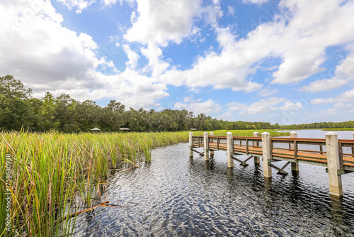 Serene Fishing Dock on a Florida Lake under Blue Sky