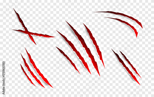 Claws scratches - vector isolated. Claws scratches animal claw tracks cat or tiger bear or lion attack nails scratches. Horror, halloween monster. Vector