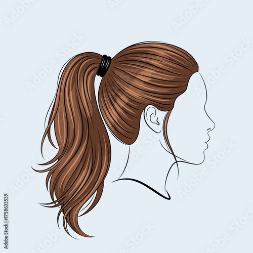 Womans hair in ponytail hairstyle vector illustration