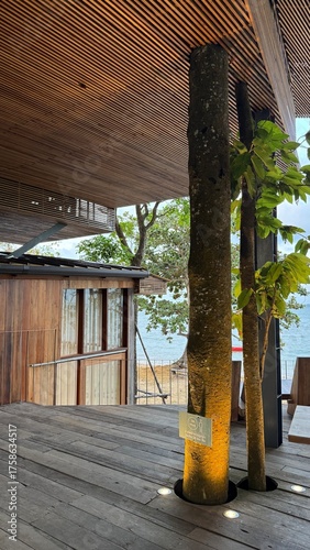 palm tree in a tropical resort