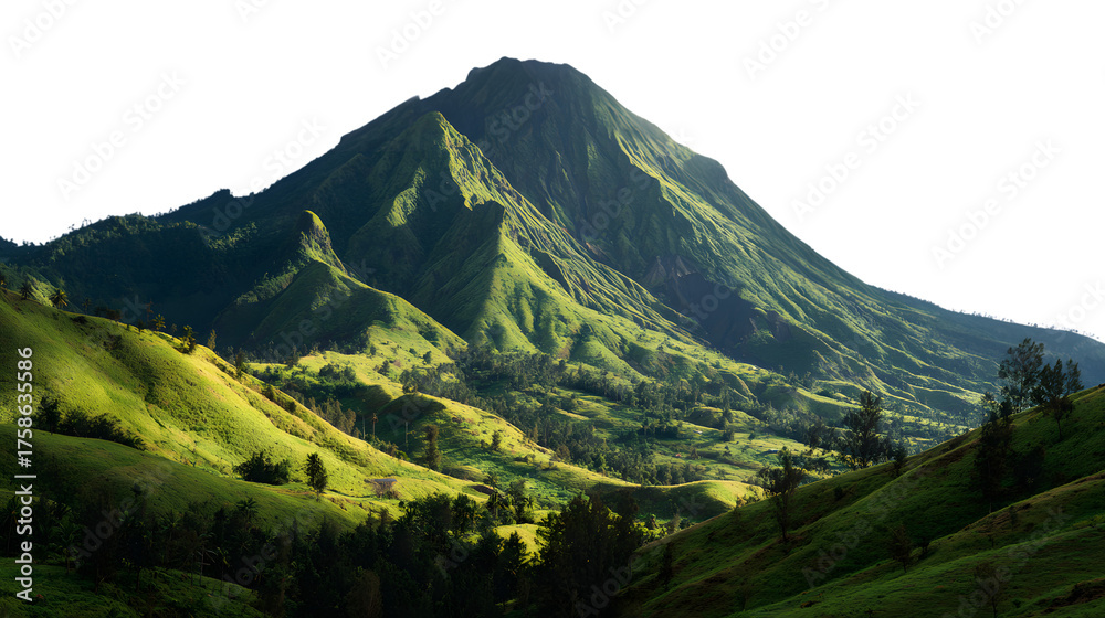 Fototapeta premium Lush green mountain peak illuminated by sunlight against dark sky