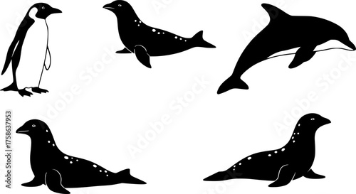 Set of 4 black vector silhouettes penguin dolphin and seal illustrations scalable graphics for design projects silhouette White background
