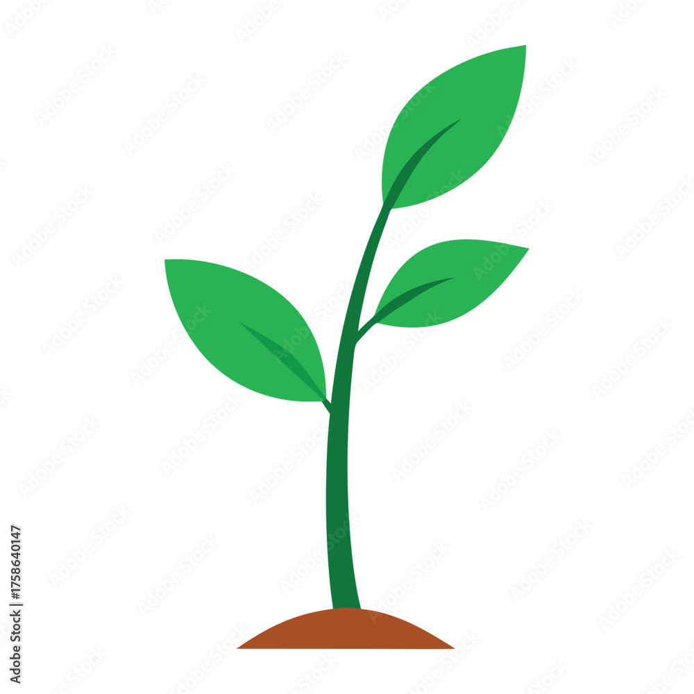Obraz premium green plant on white background