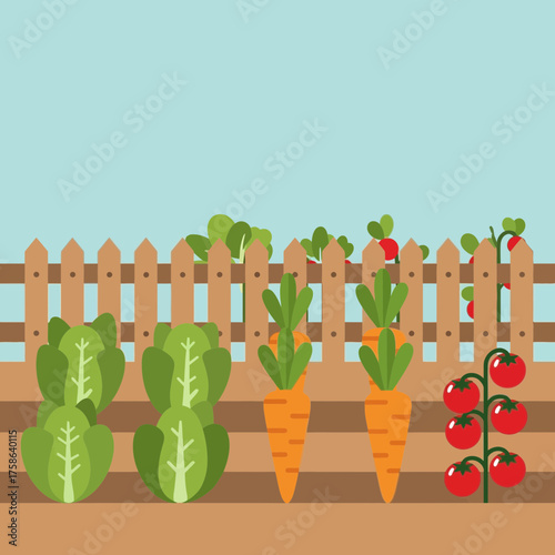 Vegetable garden with lettuce carrots and tomatoes behind a fence.