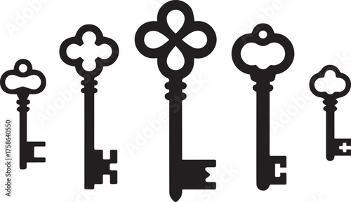 vintage skeleton key collection symmetrical bows ornate bits antique metal keys