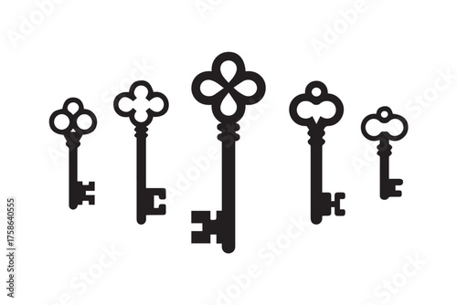 ornamental antique keys row vintage skeleton key designs decorative metal illustration