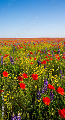 Vibrant Meadow with Red Poppies, Purple Lupines, and Yellow Wildflowers