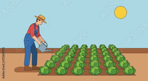 Farmer watering cabbage plants in a field under the sun.
