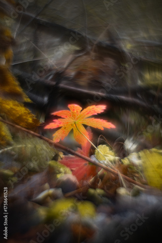 Autumn forest plants with soft focus and watercolor bokeh