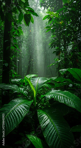 Lush Green Tropical Jungle with Sun Rays and Wet Leaves