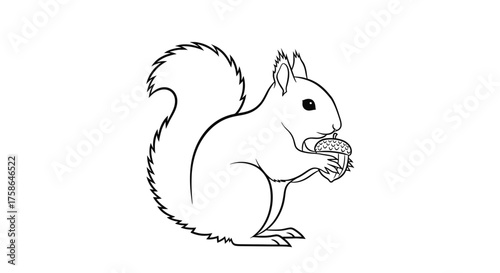 A detailed line drawing of a squirrel holding and eating a nut.
