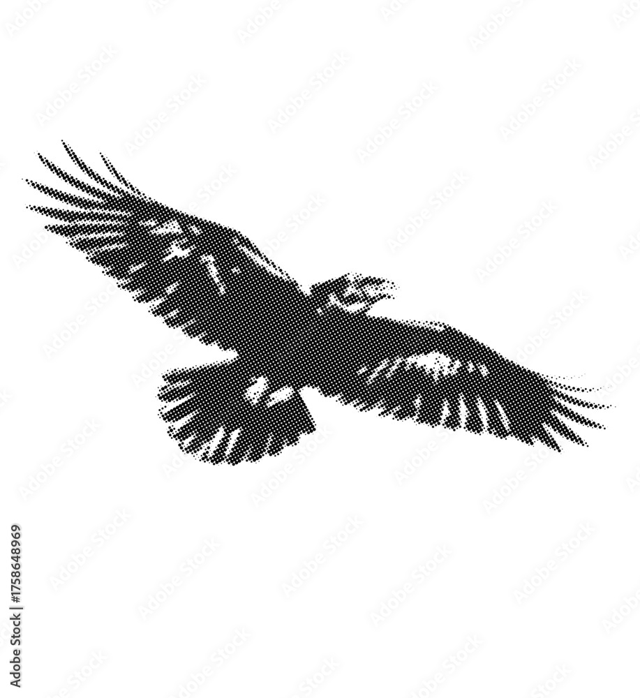 Obraz premium Majestic raptor soaring gracefully across the expansive sky, an iconic symbol of untamed freedom and formidable strength, rendered in a dynamic, high-contrast monochrome illustration