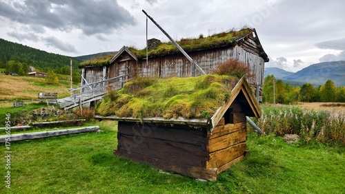 Fotografie Wooden timbered building with grass roof architecture in Norway