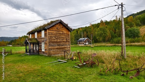 Tableau sur toile Wooden timbered building with grass roof architecture in Norway