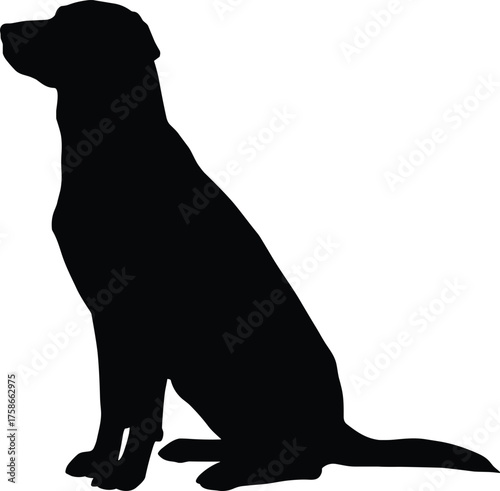 Minimal black dog silhouette sitting, relaxed posture, long tail extended, front legs straight, pointed ears and snout, simple vector design for signage