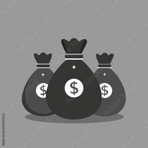 money bag with money