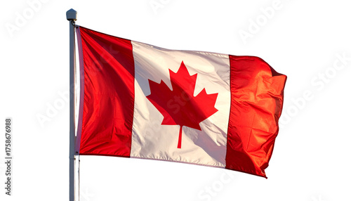 ving Canadian Flag Illustration – Patriotic Symbol Isolated Cutout