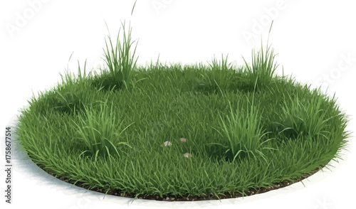 Create Round surface patch covered with green grass isolated on white background. Realistic natural element for design. Bright 3d illustration.