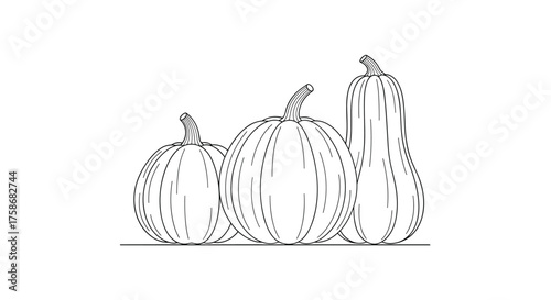 Three different types of gourds and pumpkins in a line.