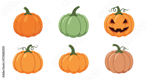 Six different pumpkins for halloween decorations or seasonal use.