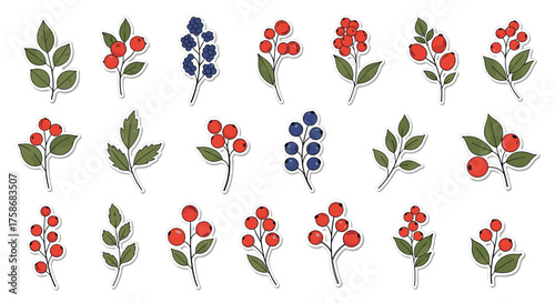 A collection of watercolor berry sprigs and leaves.