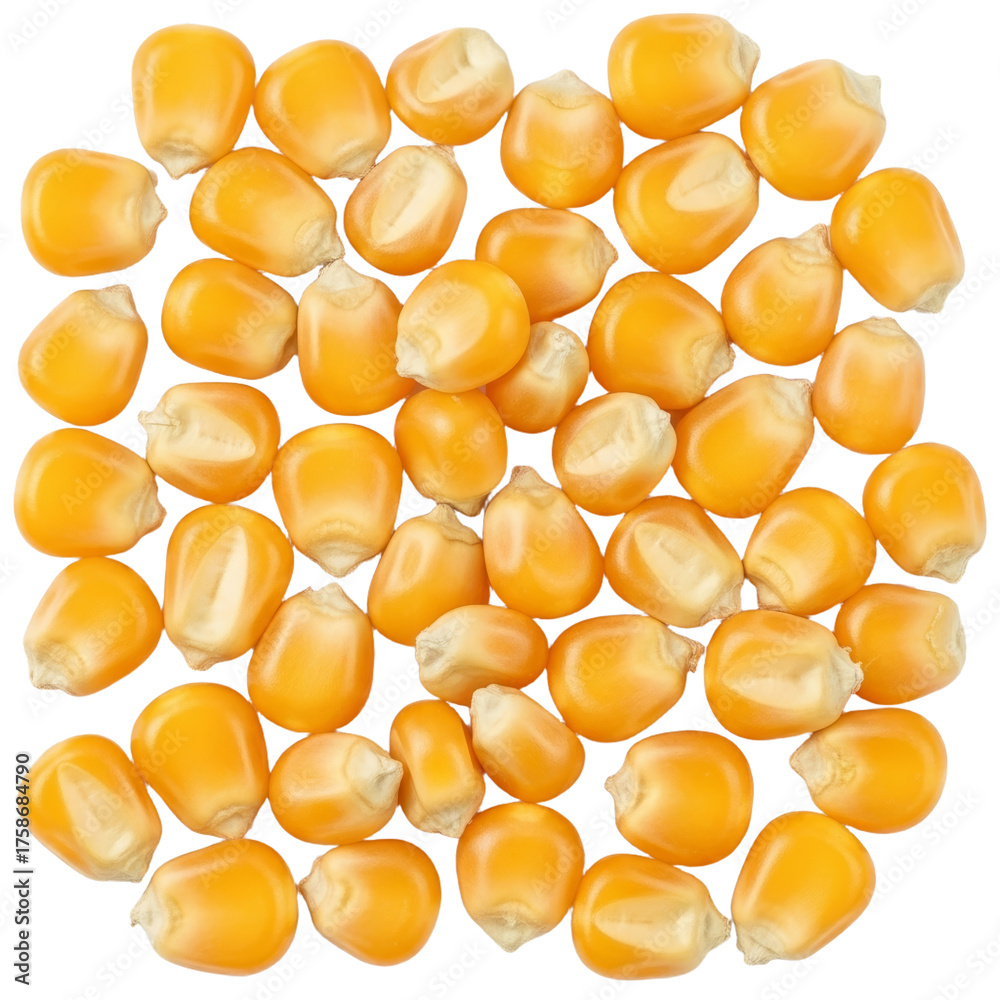 Fototapeta premium Close-up of yellow corn kernels in a neat arrangement highlighting natural texture