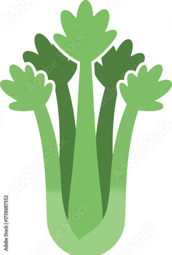 Fresh celery stalks healthy food ingredient cooking vegetable graphic vector