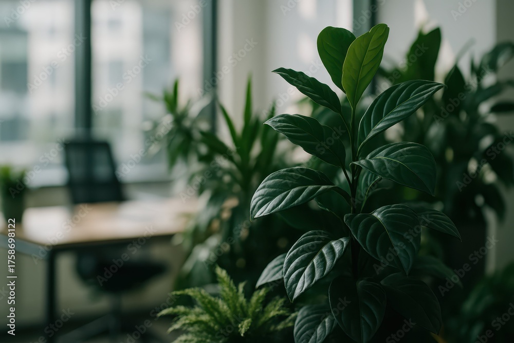 Obraz premium A cluster of lush green houseplants fills the foreground, providing a natural focus, with a blurred desk and chair visible through the large office window in the background.