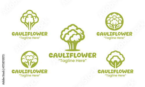 5 Cauliflower Logo Set Fresh and Healthy Branding Collection