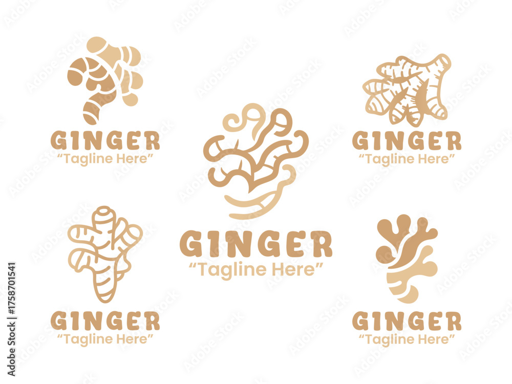 Fototapeta premium 5 Ginger Logo Set Aromatic and Fresh Branding Collection