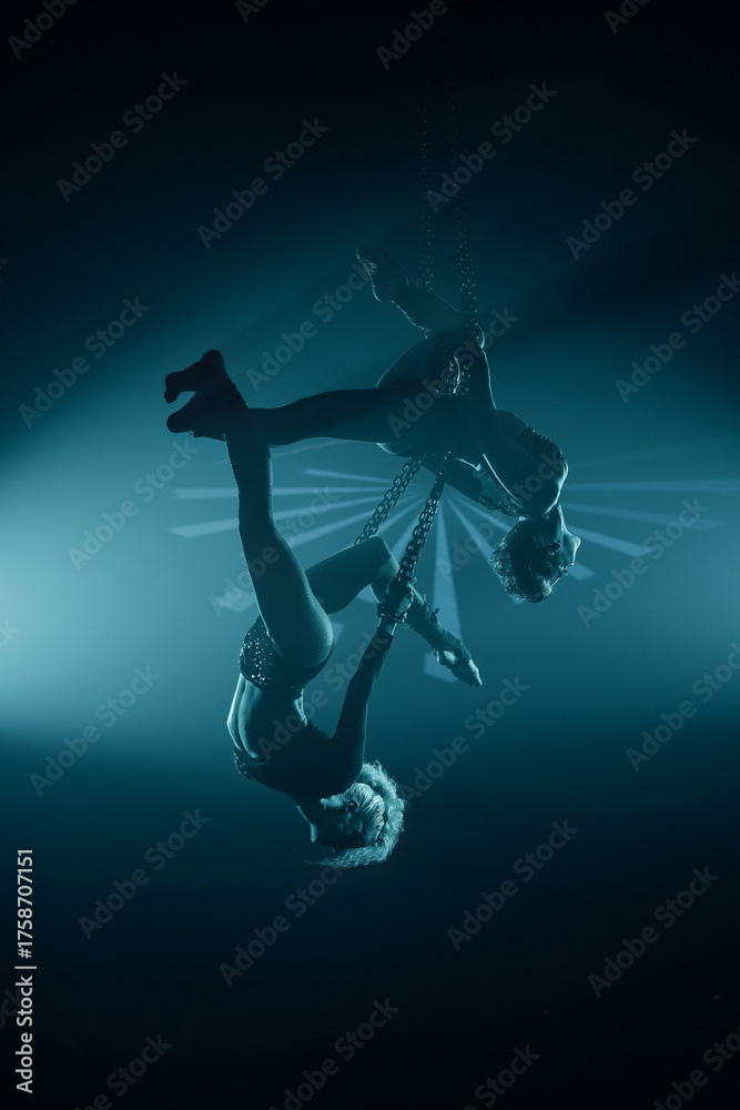 Fototapeta premium Two female aerialists hang inverted on steel chains under blue stage lighting—duo acrobatics in silhouette; vertical frame.