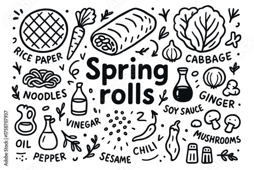 Spring rolls ingredients illustration with rice paper, vegetables, and spices